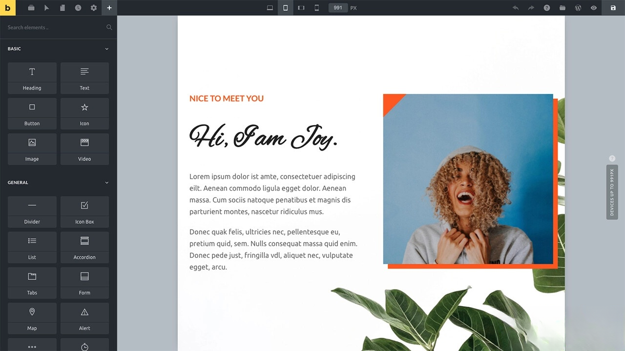 WordPress主题Bricks v1.9 破解版 WordPress主题Bricks v1.9 破解版