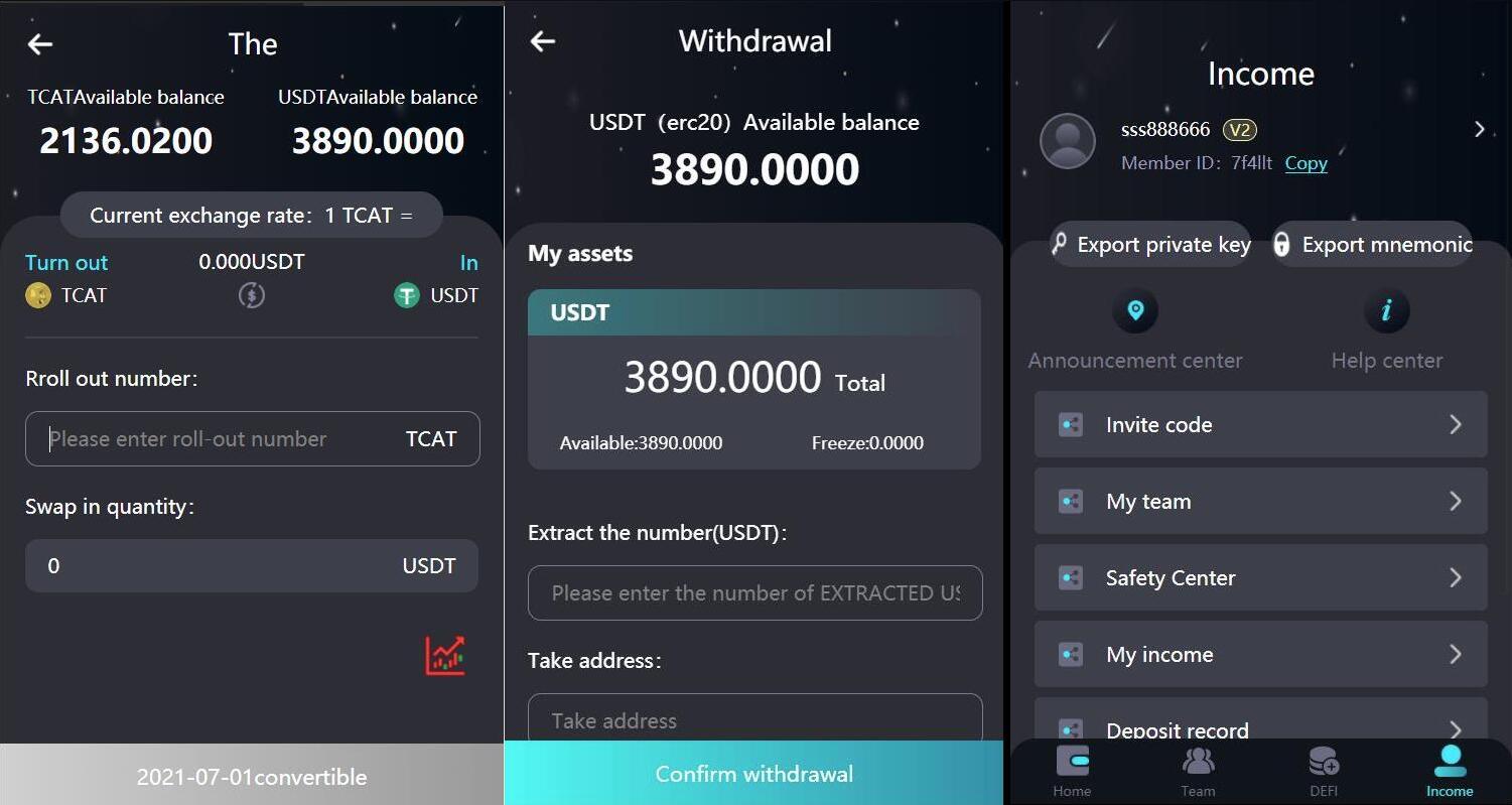 2024 新版H5打包版双语言虚拟系统 USDT支付-玖零笔记