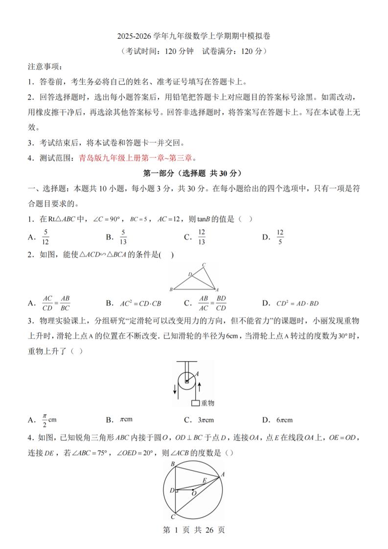 九年级上数学期中模拟卷（青岛版）-玖零笔记