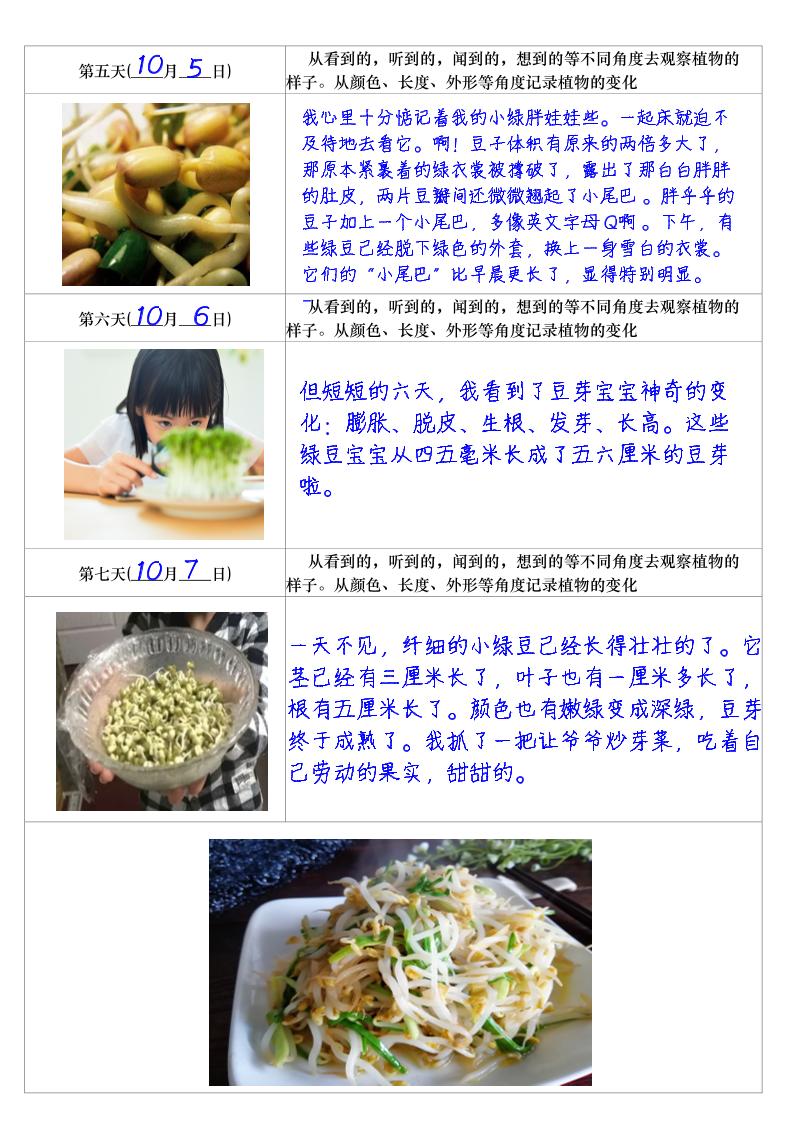 四上语文习作三：培育绿豆芽观察日记2《写观察日记》4页